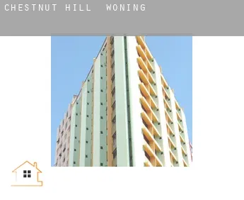 Chestnut Hill  woning