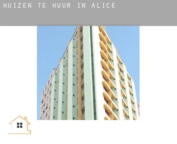 Huizen te huur in  Alice