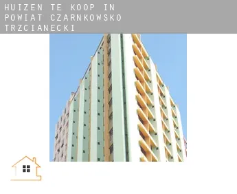 Huizen te koop in  Powiat czarnkowsko-trzcianecki