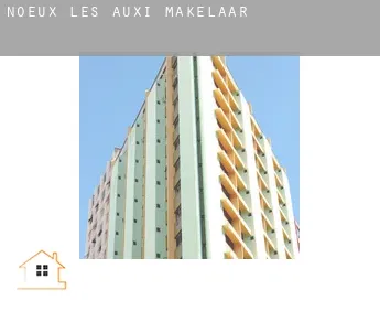 Nœux-lès-Auxi  makelaar