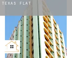 Texas  flats