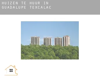 Huizen te huur in  Guadalupe Texcalac