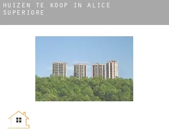 Huizen te koop in  Alice Superiore