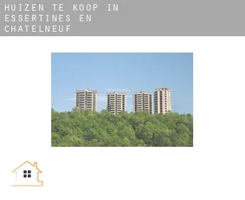 Huizen te koop in  Essertines-en-Châtelneuf