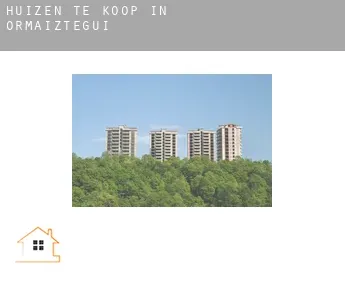 Huizen te koop in  Ormaiztegi