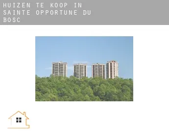 Huizen te koop in  Sainte-Opportune-du-Bosc