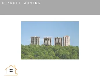 Kozaklı  woning