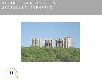 Vakantiewoningen in  Großkarolinenfeld