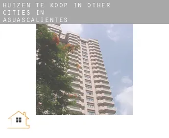 Huizen te koop in  Other cities in Aguascalientes