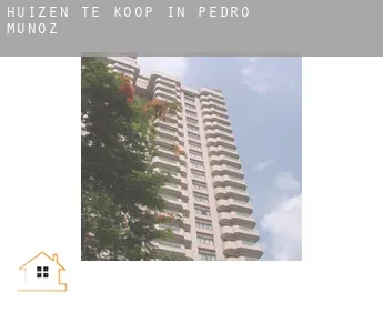Huizen te koop in  Pedro Muñoz