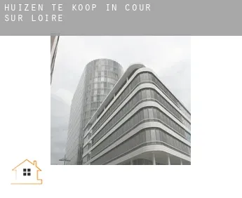 Huizen te koop in  Cour-sur-Loire