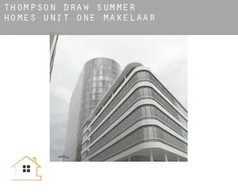 Thompson Draw Summer Homes Unit One  makelaar