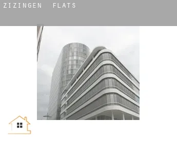 Zizingen  flats