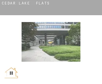 Cedar Lake  flats