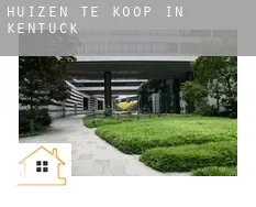 Huizen te koop in Kentucky