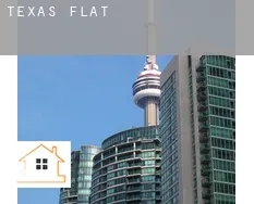 Texas flats