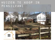 Huizen te koop in Pennsylvania