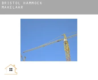 Bristol Hammock  makelaar