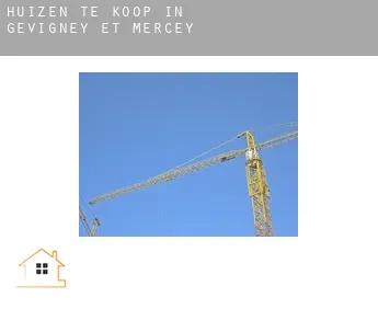 Huizen te koop in  Gevigney-et-Mercey