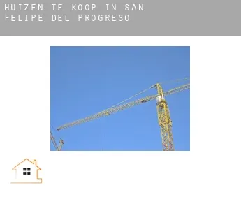 Huizen te koop in  San Felipe del Progreso