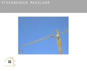 Steenbergen  makelaar