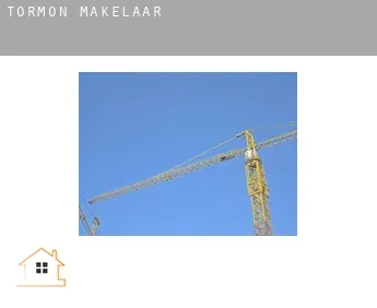 Tormón  makelaar