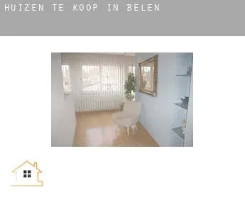 Huizen te koop in  Belén
