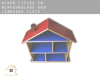 Other cities in Newfoundland and Labrador  flats