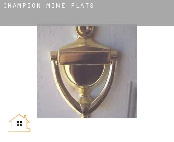 Champion Mine  flats