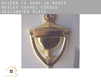 Huizen te koop in  North Wesley Chapel