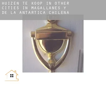 Huizen te koop in  Other cities in Magallanes y de la Antartica Chilena