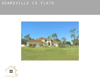 Adamsville (census area)  flats