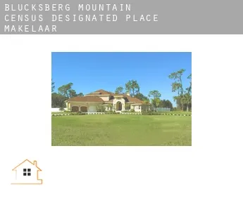 Blucksberg Mountain  makelaar