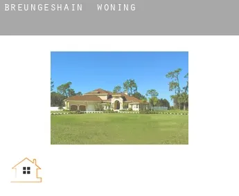 Breungeshain  woning