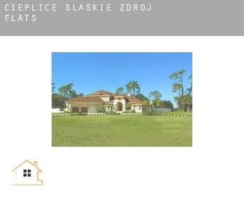 Cieplice Śląskie Zdrój  flats