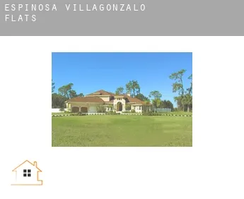 Espinosa de Villagonzalo  flats