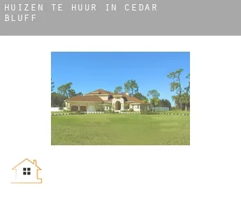 Huizen te huur in  Cedar Bluff