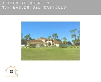 Huizen te huur in Monteagudo del Castillo