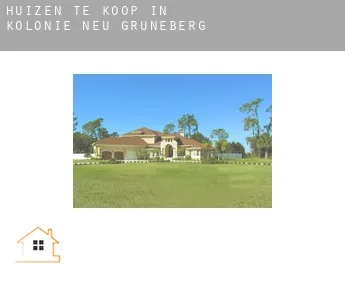 Huizen te koop in  Kolonie Neu Grüneberg