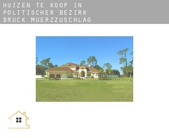 Huizen te koop in  Politischer Bezirk Bruck-Muerzzuschlag