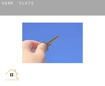 Adam  flats
