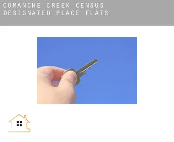 Comanche Creek  flats