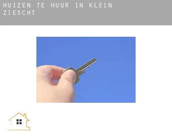 Huizen te huur in  Klein Ziescht