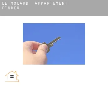 Le Molard  appartement finder