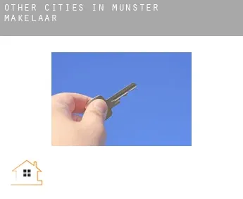 Other cities in Munster  makelaar