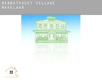 Babbatasset Village  makelaar