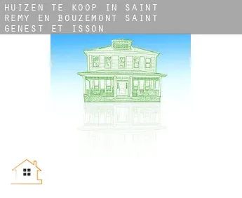 Huizen te koop in  Saint-Remy-en-Bouzemont-Saint-Genest-et-Isson