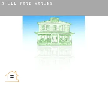 Still Pond  woning