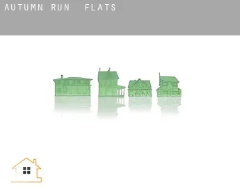 Autumn Run  flats