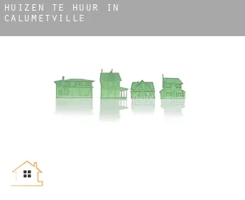 Huizen te huur in  Calumetville